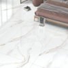 REGAL Hybrid Collection